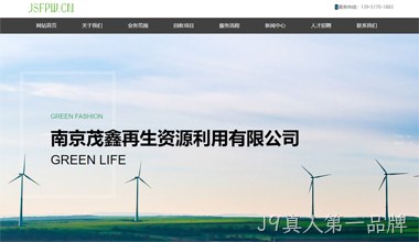 南京茂鑫网站案例